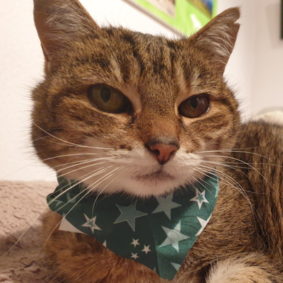 Tjorven Hüther's avatar